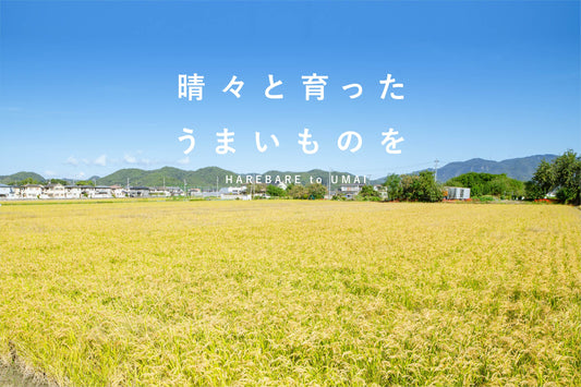 晴々農場のオンラインストアができました!