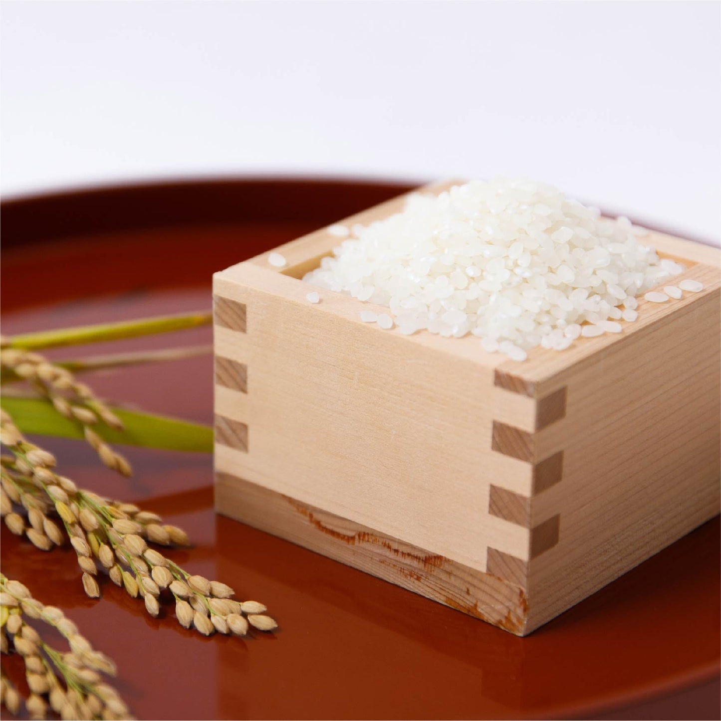 ヒノヒカリ [精白米 / 紙袋]